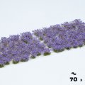 Photo of Violet Flowers (GGF-VI)