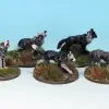 Photo of Wolves (MP26)