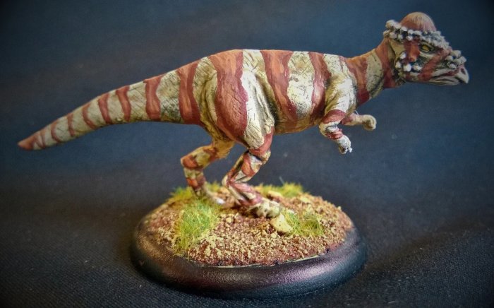 Pachycephalosaurus