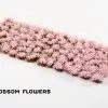 Photo of Cherry Blossom Flowers (GGFS-CB)